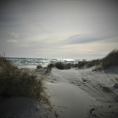 Please Take Her Hand