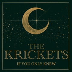 If You Only Knew (Single)