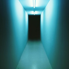 Hallway Heist