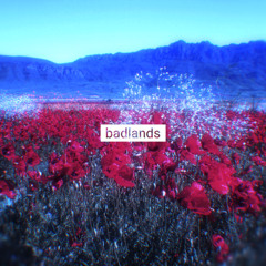 PAVELLL x SVGAWA - BADLANDS