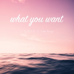 LiQWYD & Luke Bergs - What You Want (Free download)