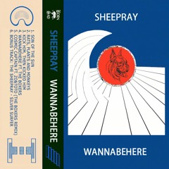 The Sheepray - Silver Surfer