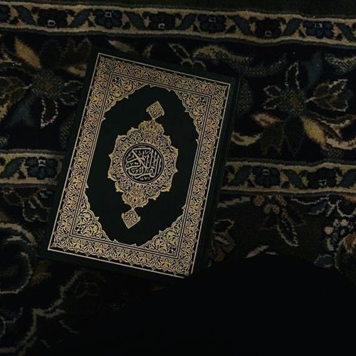 سورة السجدة - الشيخ أحمد بن طالب