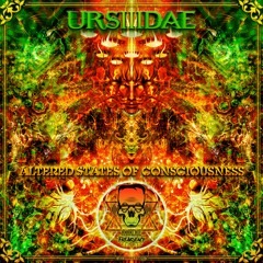 Ursiiidae - In High Spirits