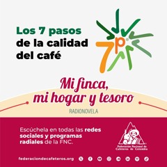 LOS 7 PASOS DE LA CALIDAD DE CAFÉ COLOMBIANO