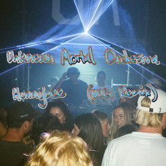 Unknown Mortal Orchestra - Hunnybee (NUG Remix)