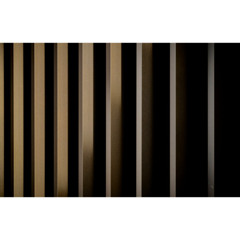 Premiere: Monophaze "Backyard Encounter"
