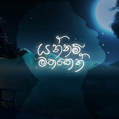 Yannam Mathaken(යන්නම් මතකෙන්) - Ridma Weerawardena, Thilina Boralessa [Lyric Video]