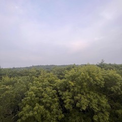 The joys of my creations