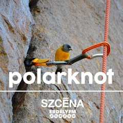 Polarknot - 19.03.2021 / Szcéna 01
