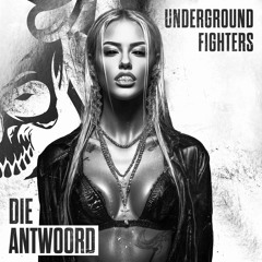 DIE ANTWOORD - BANANA BRAIN (UNDERGROUND FIGHTERS BOTLEG) RADIO EDIT.wav