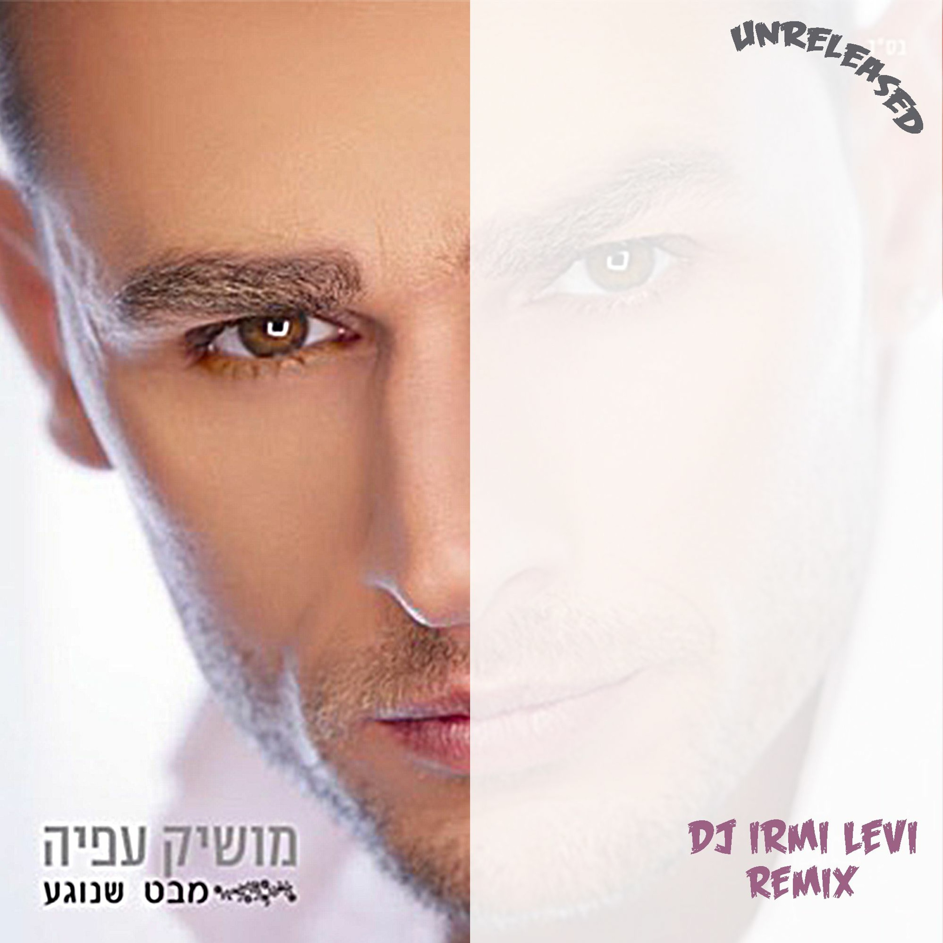 Irmi Levi