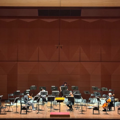 Before the First Note ( The Tension Before the Orchestra Begins )