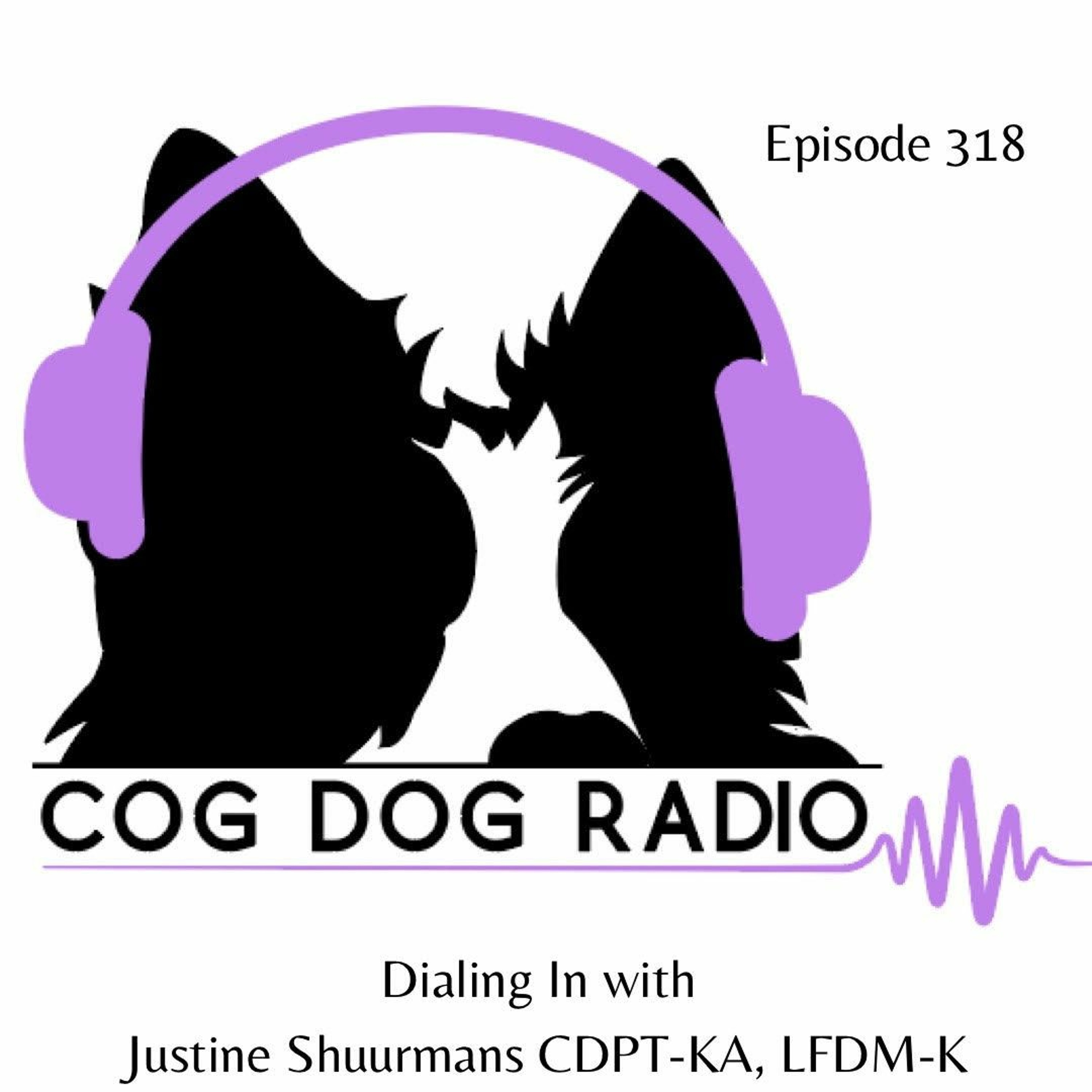 Cog-Dog Radio
