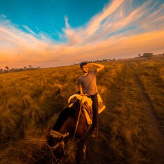 Another Step On The Battlefield