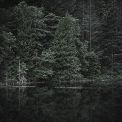 Reflections on the River