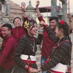 Tihar Song Instrumental | Melodious Deusi Bhailo | Swarnim Maharjan