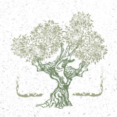 October 5th 2025 - Acts 20:28-38