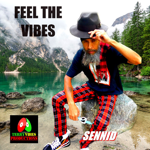 SENNID & TERRY VIBES PRODUCTIONS - FEEL THE VIBES