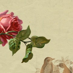 Diary - Amrinder Gill Lofi remix