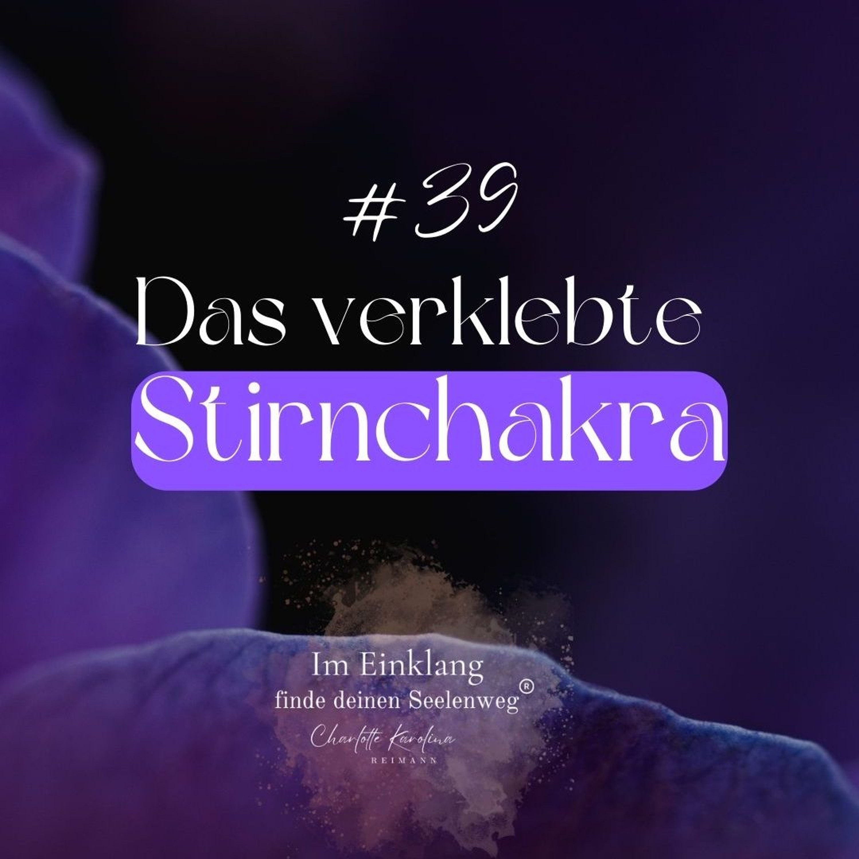 Im Einklang - finde Deinen Seelenweg