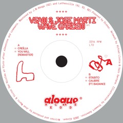 Vsan & José Martí - Wave Garden EP - ALQ002