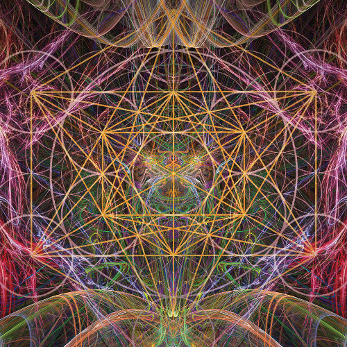 MetaTr0n