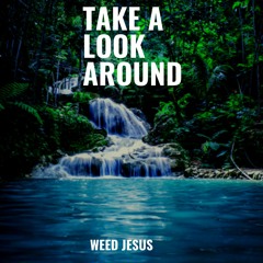 Weed_Jesus - take a look around