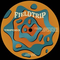 PREMIERE: Ruven Medici - The Groove Side Of Life [Fieldtrip]