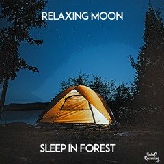 Sleep In Forest [ FREE RELAXING MUSIC]