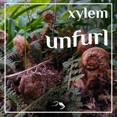Xylem ft. Tea Tree - Unfurl [Mindspring Music]