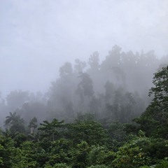 The best love for the Lord