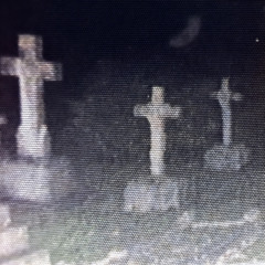 Your Grave