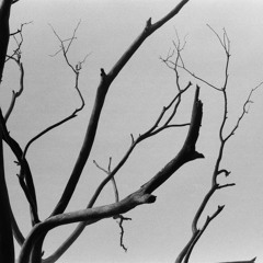 BROKEN BEATS BY THE BEACH