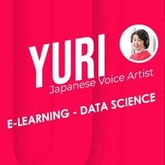 E-LEARNING - DATA SCIENCE - INTRODUCTORY - ARTICULATE - CONVERSATIONAL