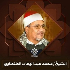 الشيخ محمد عبد الوهاب الطنطاوي سورة البقرة