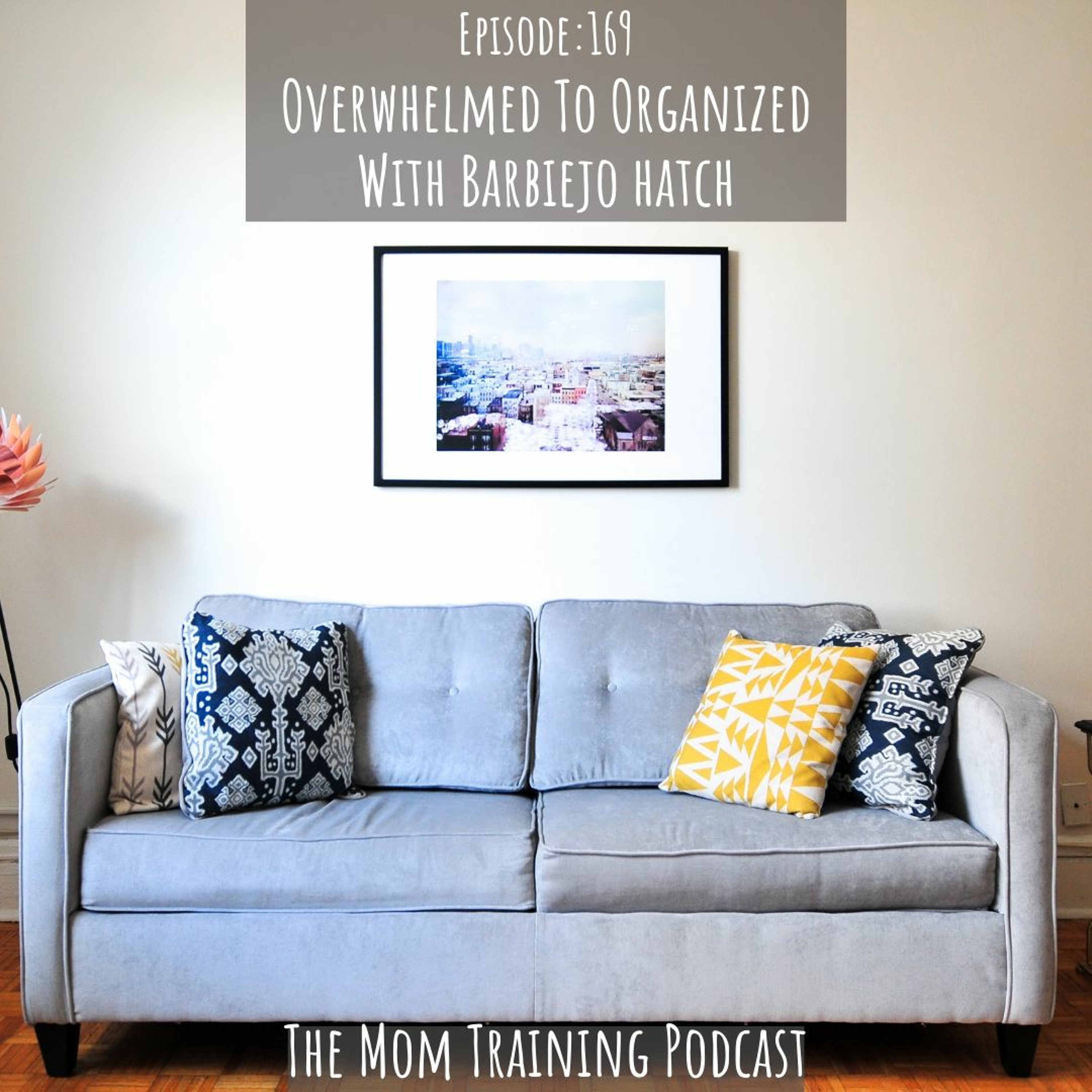 The Mom Training Podcast