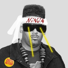 Ninja X Terminator X