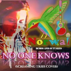 No One Knows (Studio Cover)(By The Screaming Trees)