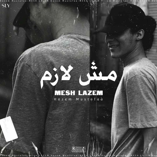 Mesh Lazem  مش لازم