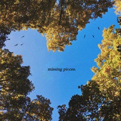 Missing Pieces