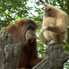 Engine Room Cocktail - Space Station Saturn Valley