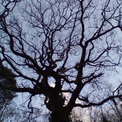 waiting for the storm to pass (demo)