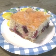 157 - Blueberry Picnic Cake