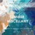 Artwork for Wandering Soul Show presents A Summer Miscellany  2025