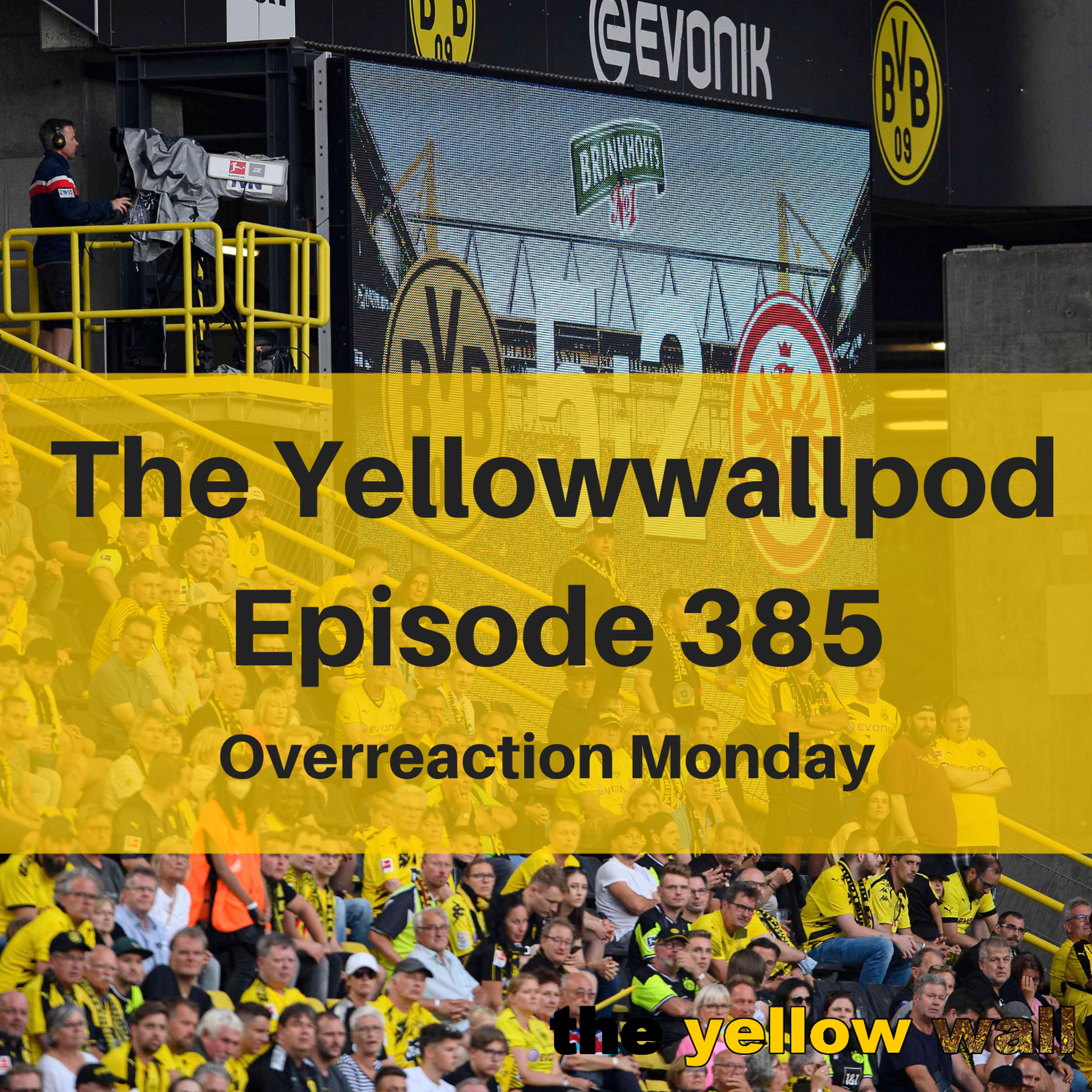 Yellowwallpod