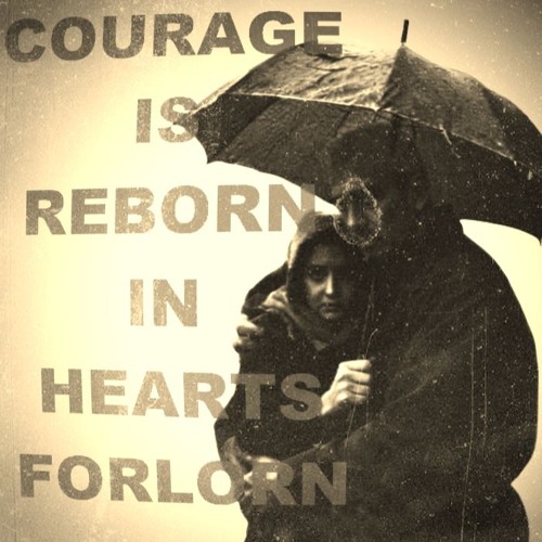 In Every Stone  a Tale