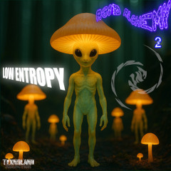 Low Entropy - Acid Chant