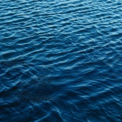 Flutung (WonderBoxx&Kaossilators)