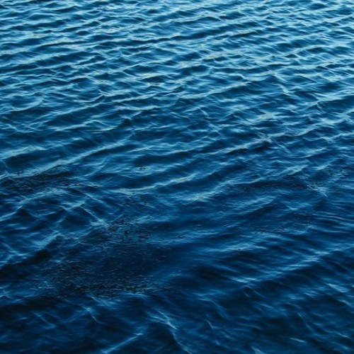 Flutung (WonderBoxx&Kaossilators)